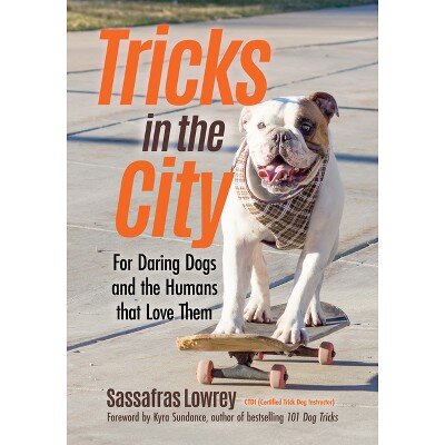 Cover of Tricks in the City by Sassafras Lowrey